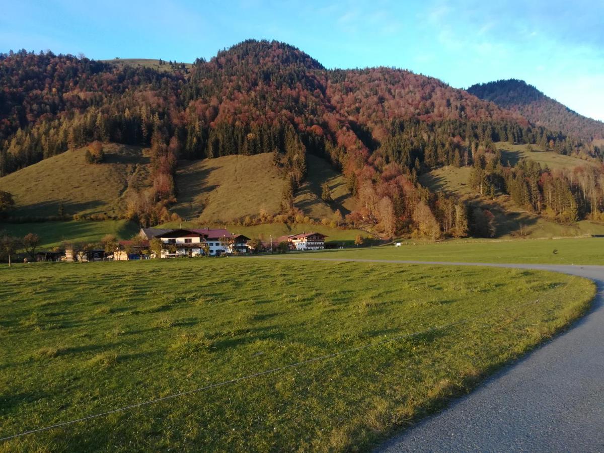 Apartament Bio- Bauernhof Obermaurach Walchsee Zewnętrze zdjęcie