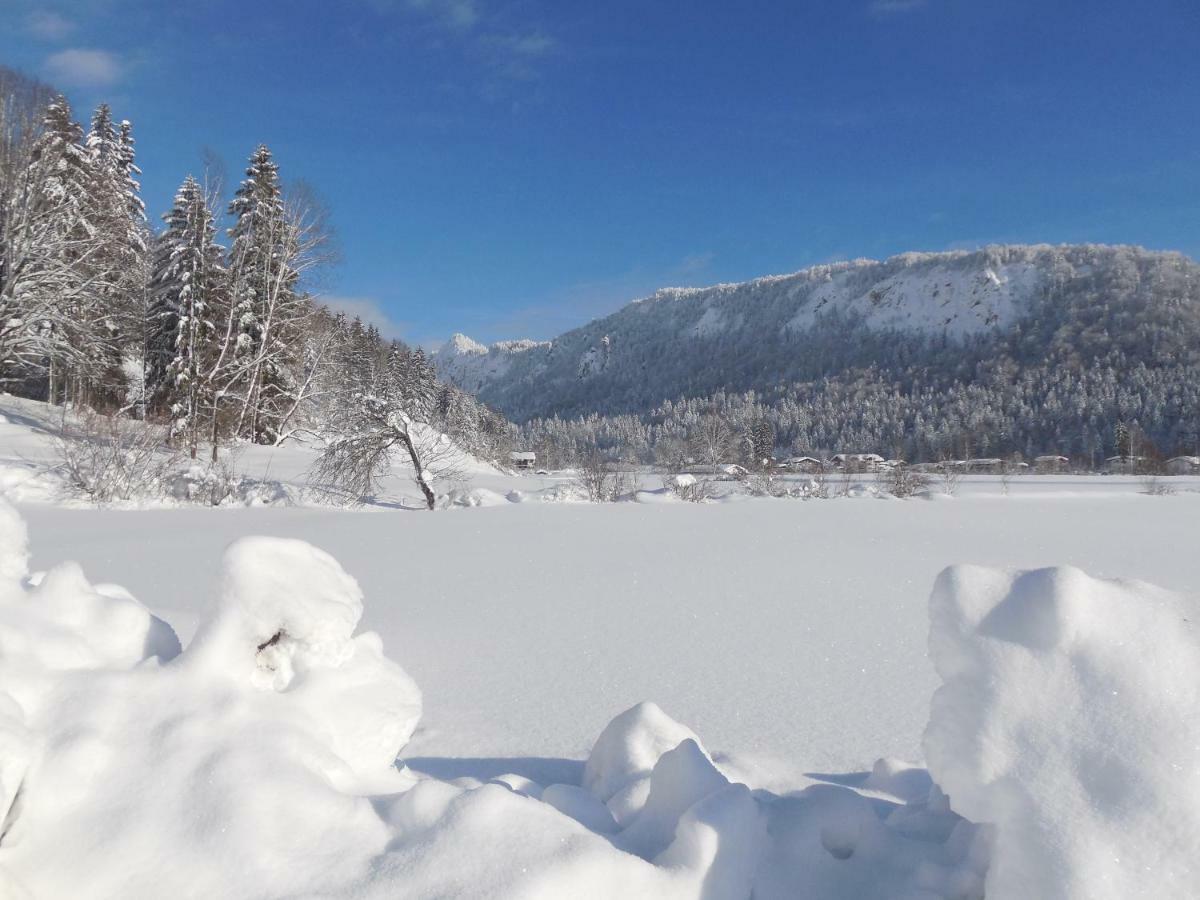 Apartament Bio- Bauernhof Obermaurach Walchsee Zewnętrze zdjęcie